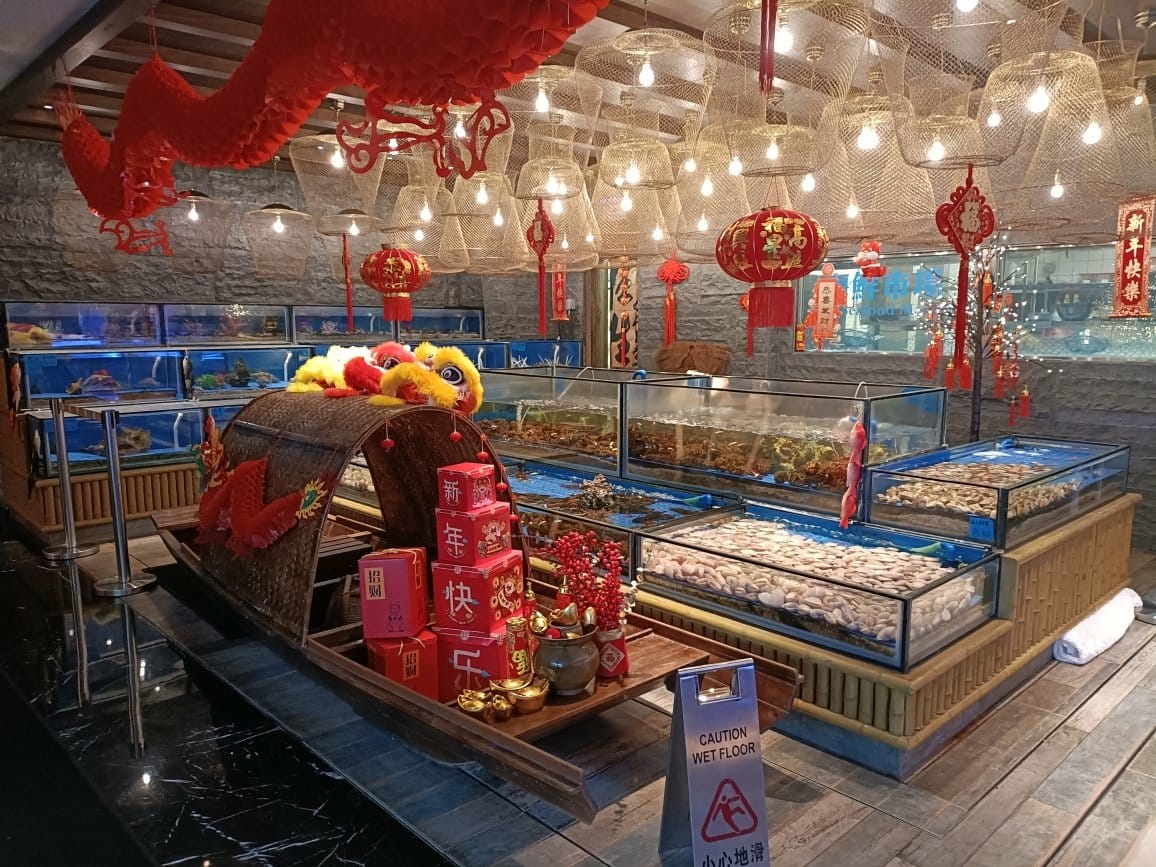 (未設定標題) (未設定標題)