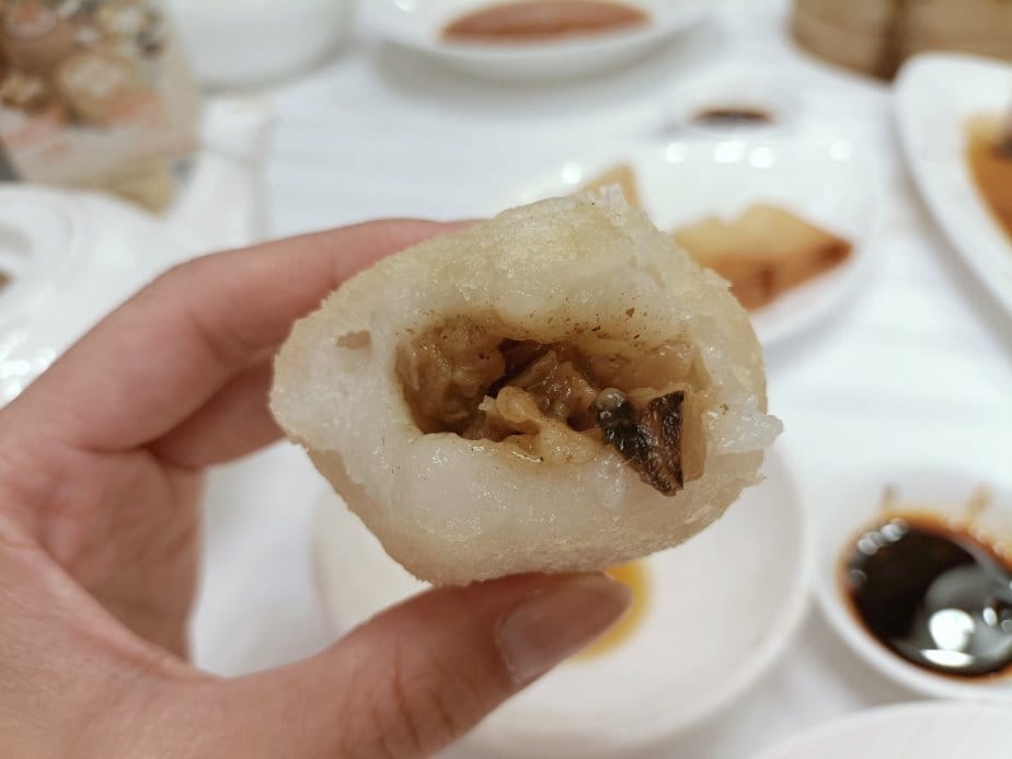 (未設定標題) (未設定標題)