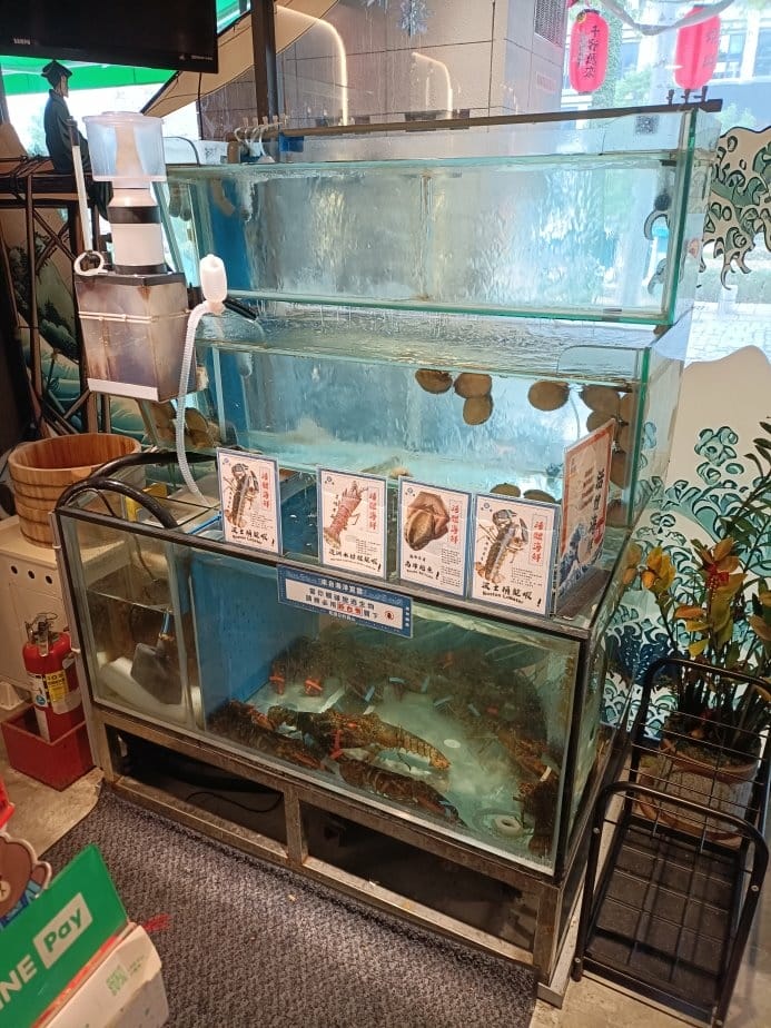 (未設定標題) (未設定標題)