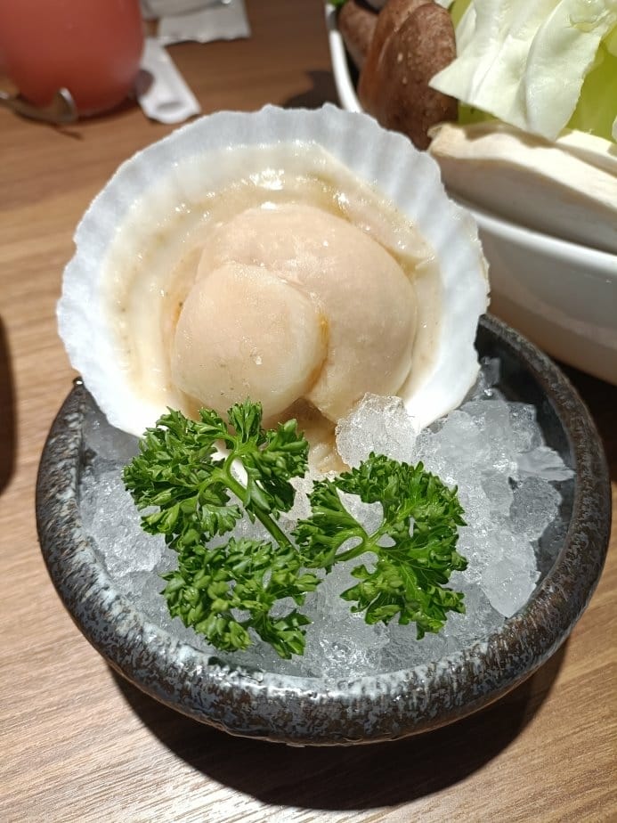 (未設定標題) (未設定標題)