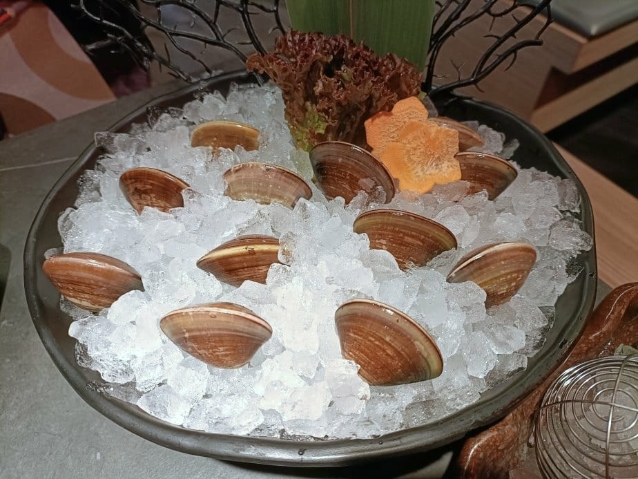 (未設定標題) (未設定標題)