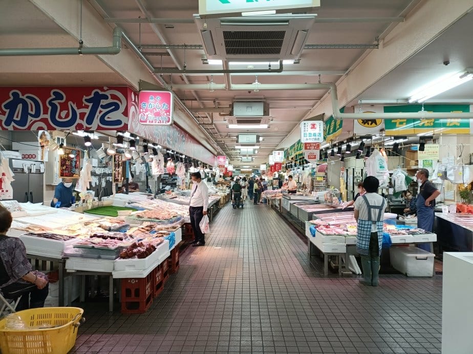2024東京北海道|はやぶさはやぶさ-新幹線E5系列，從東京