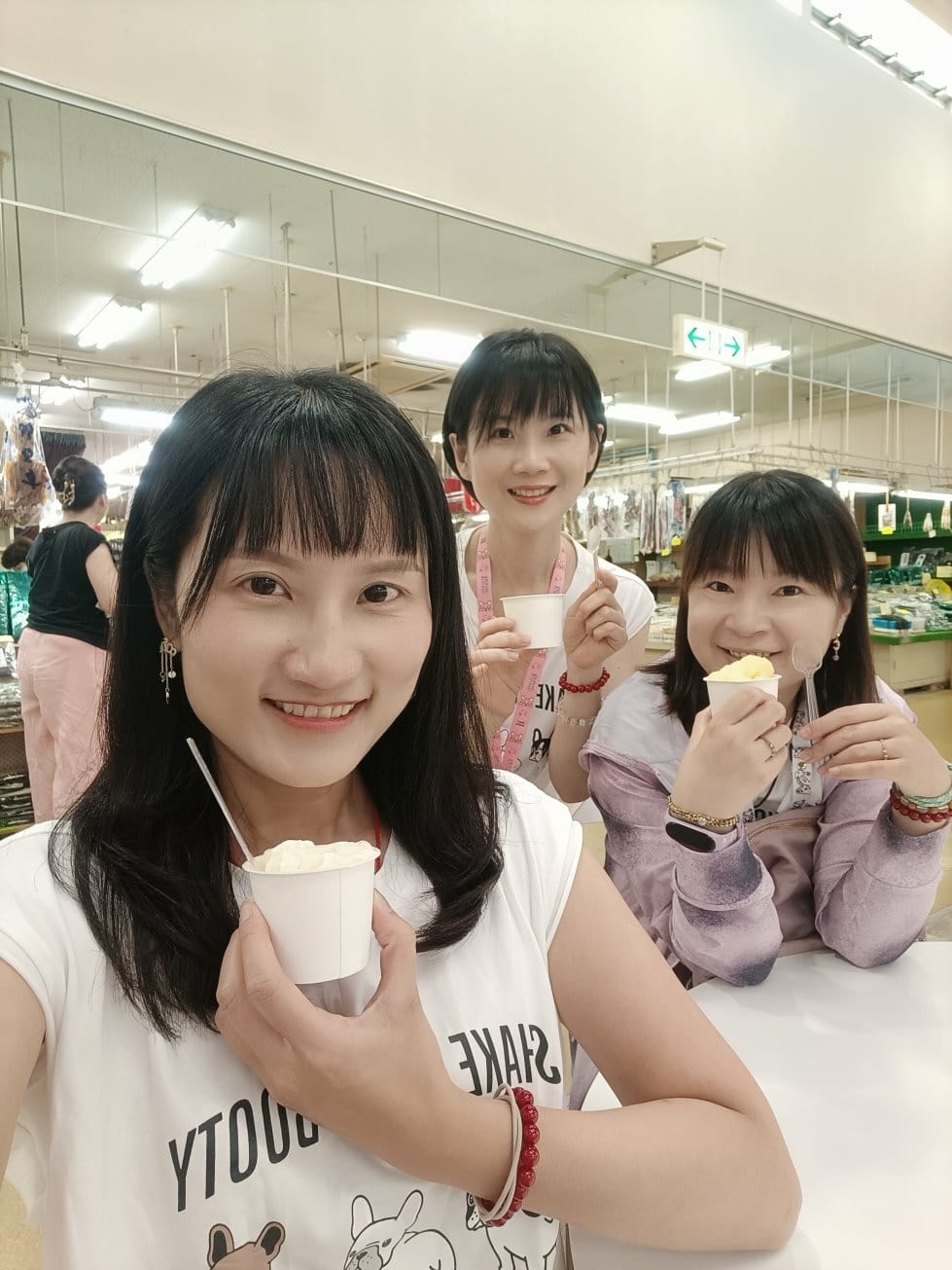 2024東京北海道|はやぶさはやぶさ-新幹線E5系列，從東京