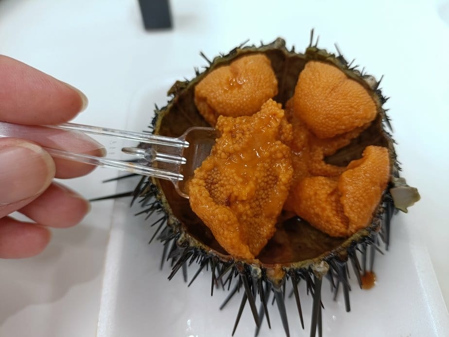 2024東京北海道|はやぶさはやぶさ-新幹線E5系列，從東京