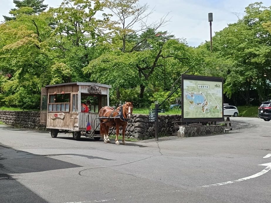 2024東京北海道|星野青森屋自助早餐のれそれ食堂(Nore 2024東京北海道|星野青森屋自助早餐のれそれ食堂(Nore