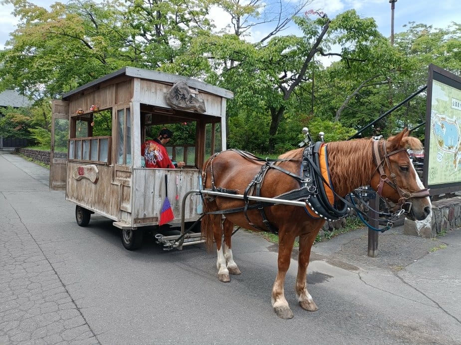 2024東京北海道|星野青森屋自助早餐のれそれ食堂(Nore 2024東京北海道|星野青森屋自助早餐のれそれ食堂(Nore