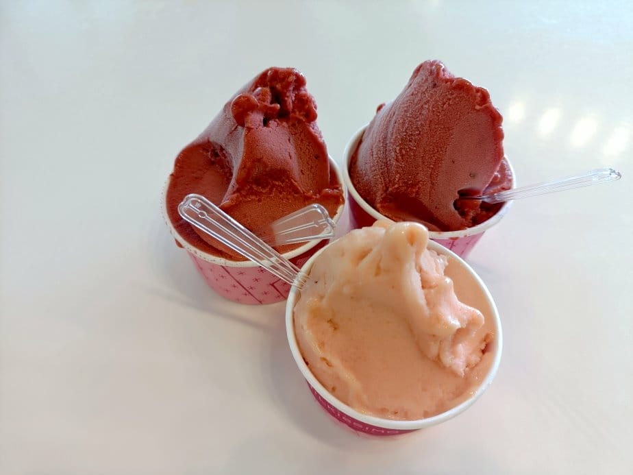 2024東京北海道|函館市電、五稜郭塔登高望遠~來五稜郭必吃