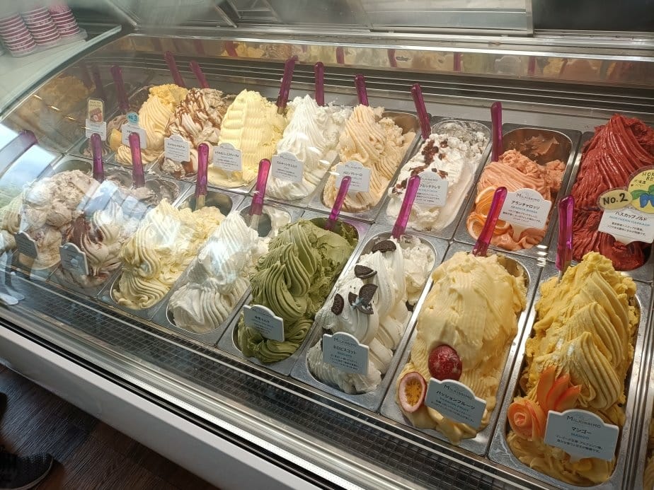 2024東京北海道|函館市電、五稜郭塔登高望遠~來五稜郭必吃