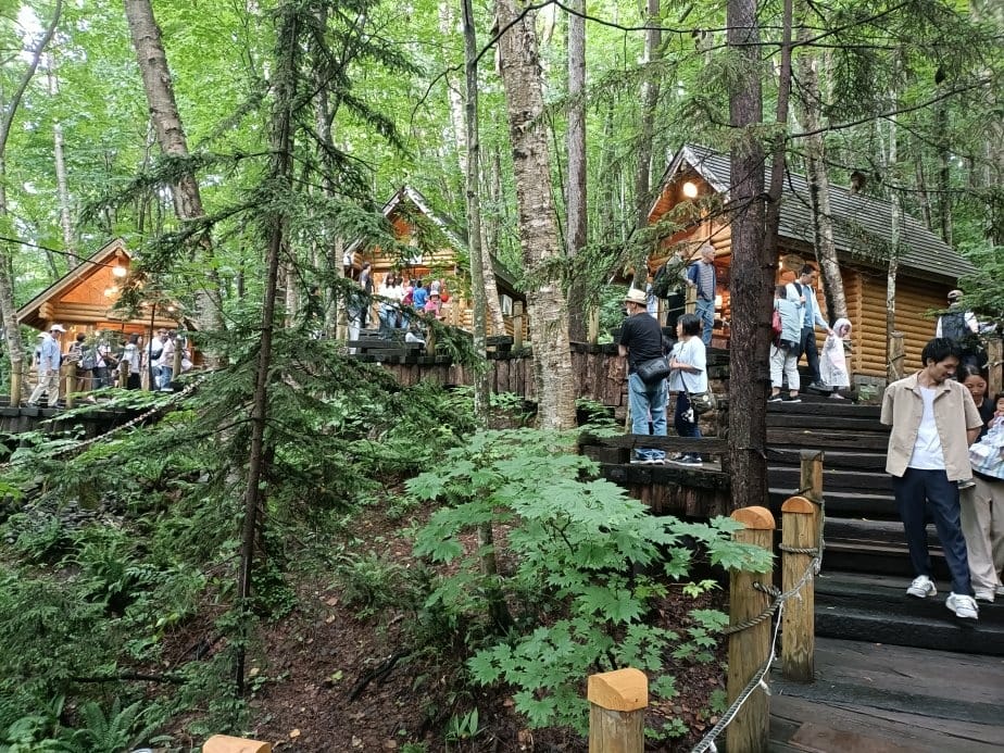 2024東京北海道|富田農場看薰衣草~哈蜜瓜麵包必吃!不吃肯 2024東京北海道|富田農場看薰衣草~哈蜜瓜麵包必吃!不吃肯