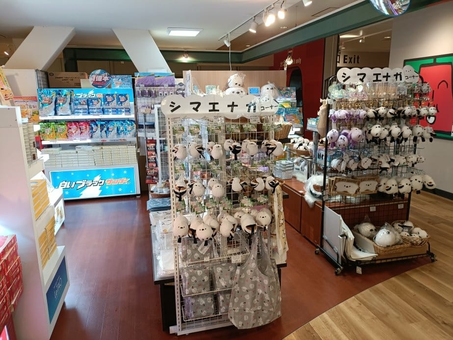 2024東京北海道|札幌電視塔~下雨夜景篇 2024東京北海道|札幌電視塔~下雨夜景篇