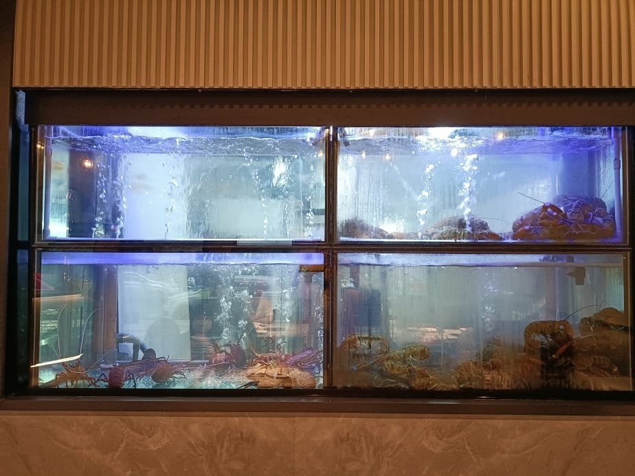 (未設定標題) (未設定標題)