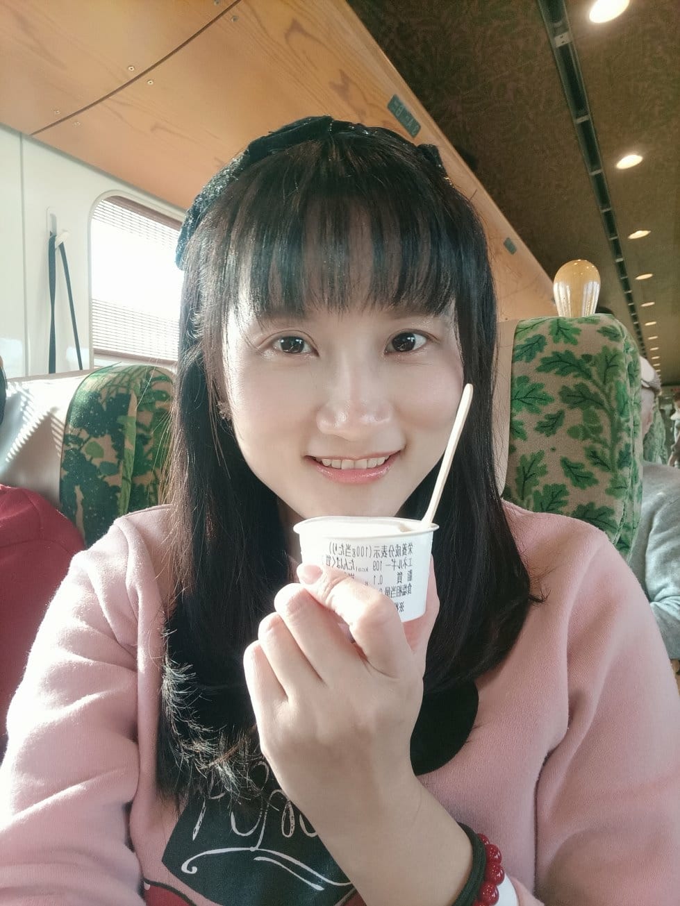 2025九州自由行|由布院之森(ゆふいんの森),全車指定席最 2025九州自由行|由布院之森(ゆふいんの森),全車指定席最