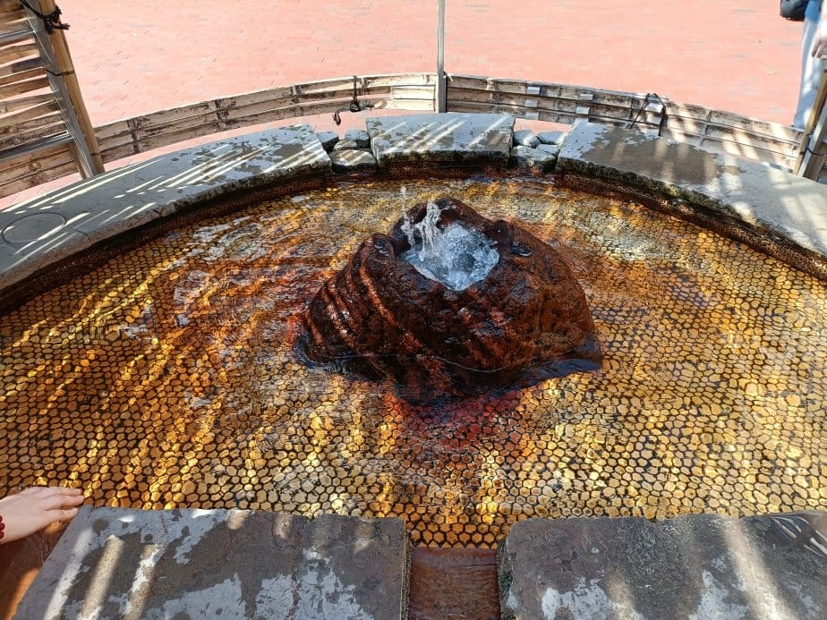 2025九州自由行|由布院到別府,搭JR中途要到大分站換車喔 2025九州自由行|由布院到別府,搭JR中途要到大分站換車喔