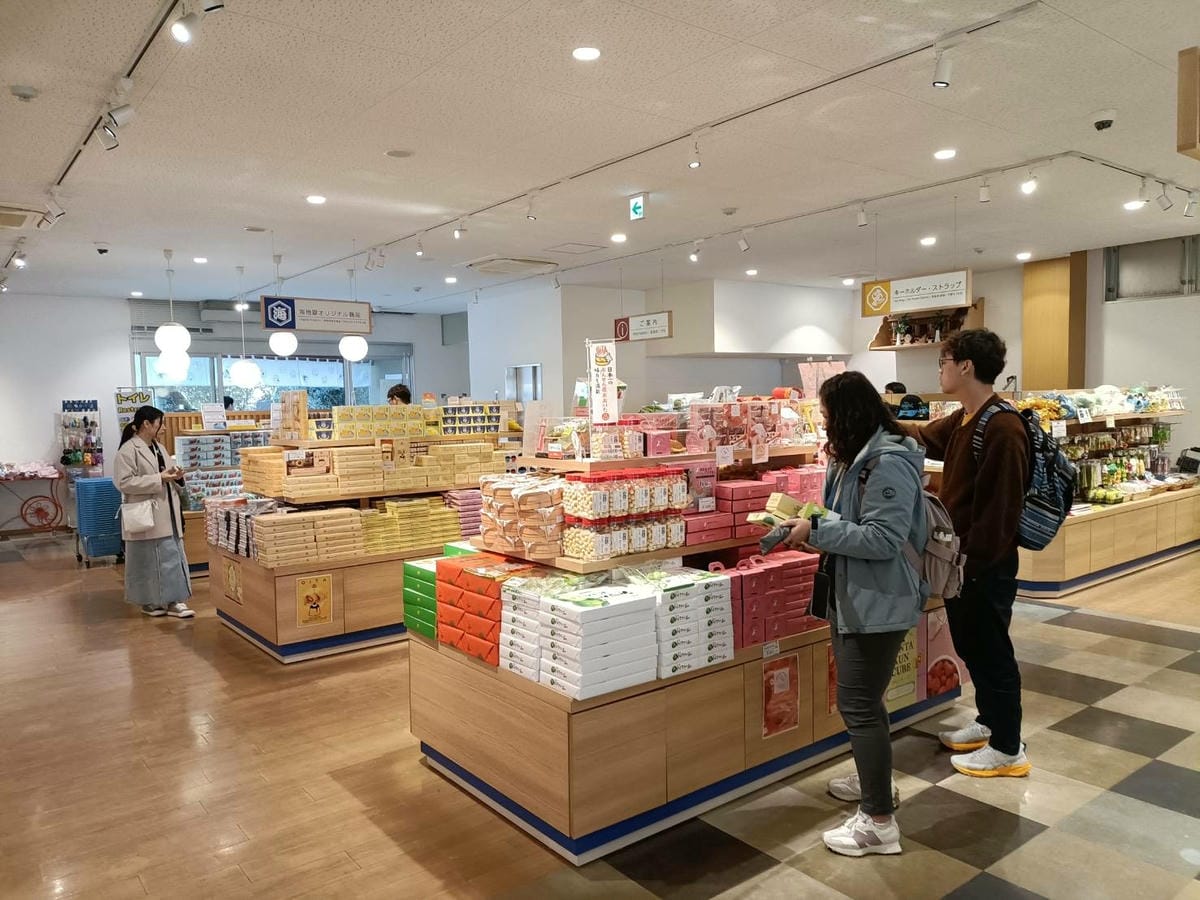 2025九州自由行|別府地獄之旅~海地獄、鬼石坊主地獄，奇特