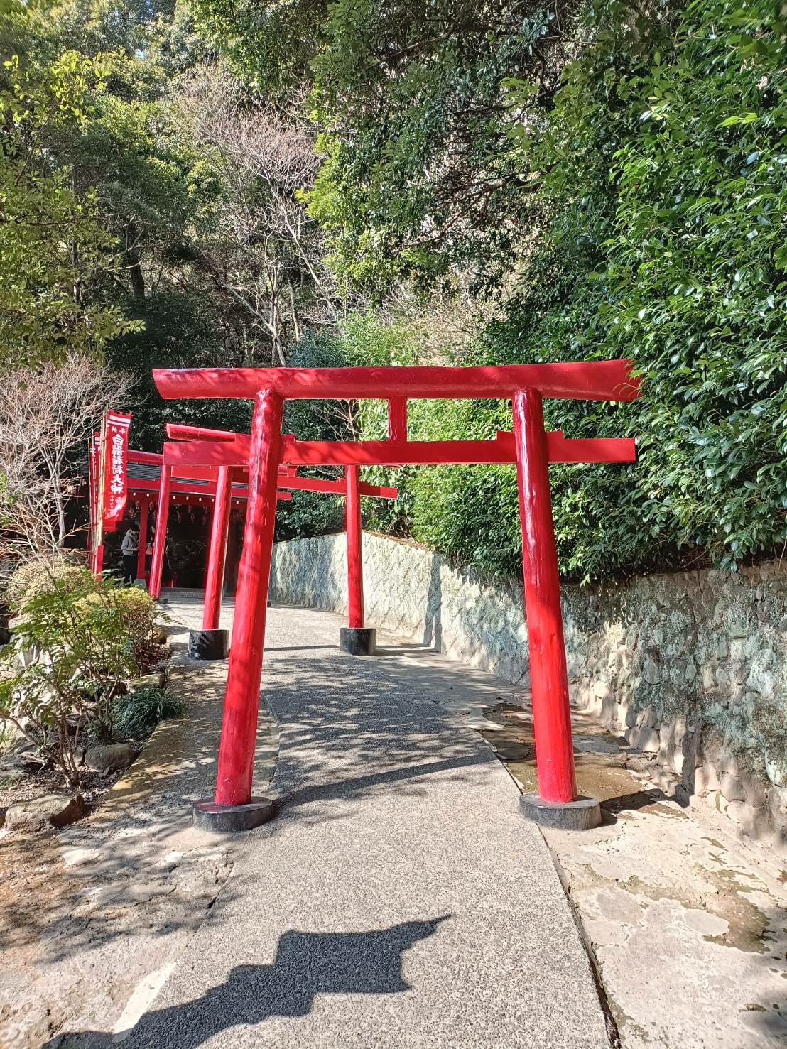 2025九州自由行|別府地獄之旅~海地獄、鬼石坊主地獄，奇特