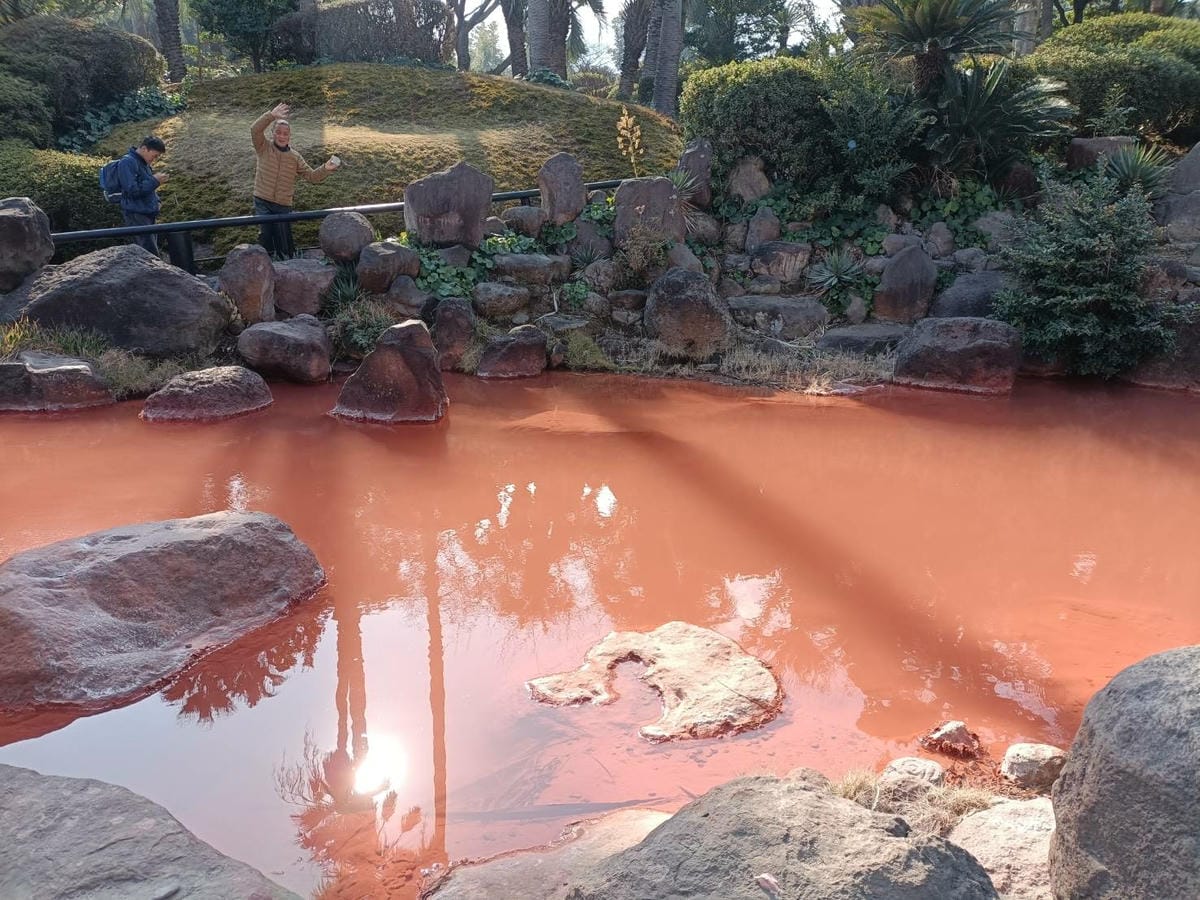 2025九州自由行|別府地獄之旅~海地獄、鬼石坊主地獄，奇特