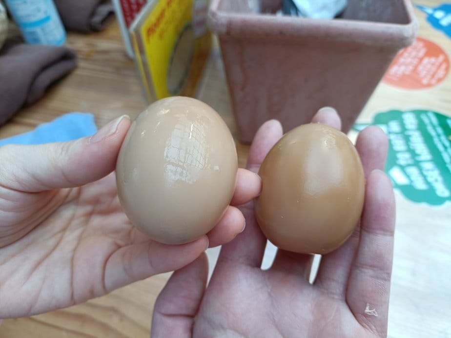 2025九州自由行|別府地獄之旅~灶地獄最熱鬧必吃醬油布丁、 2025九州自由行|別府地獄之旅~灶地獄最熱鬧必吃醬油布丁、