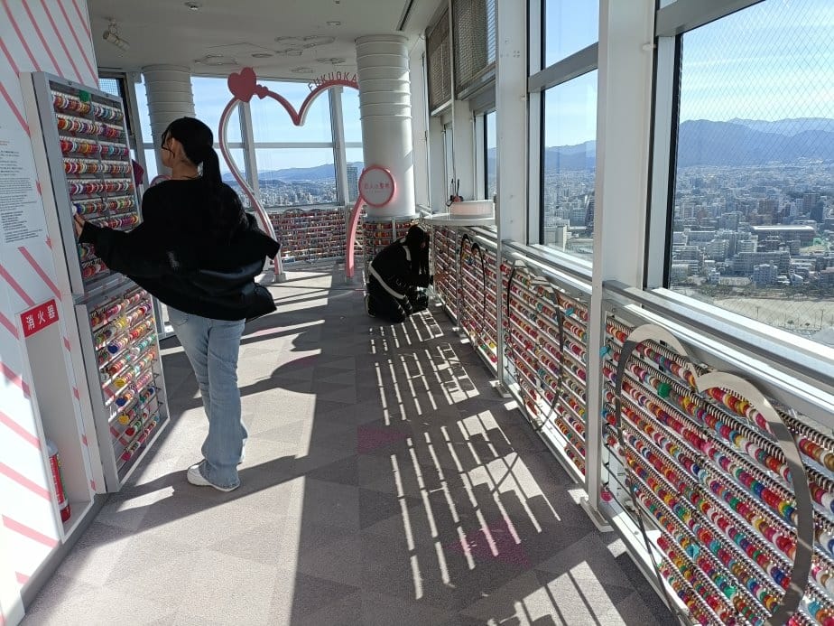 (未設定標題) (未設定標題)