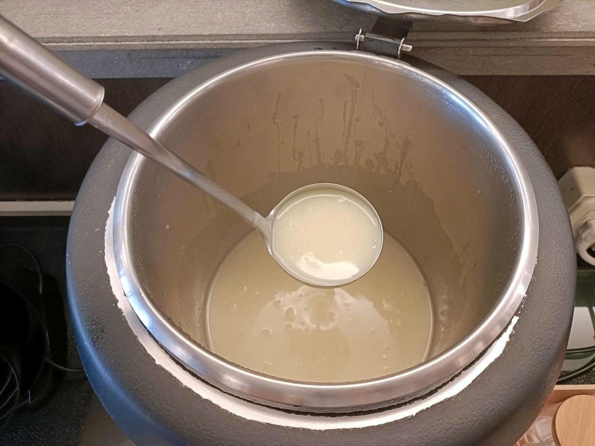 樹林美食|小熊王子一號屋。義大利麵、披薩、排餐所有主餐只要+