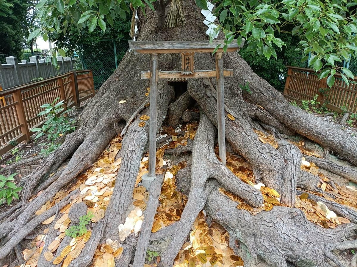 2025大阪|大鳥大社。