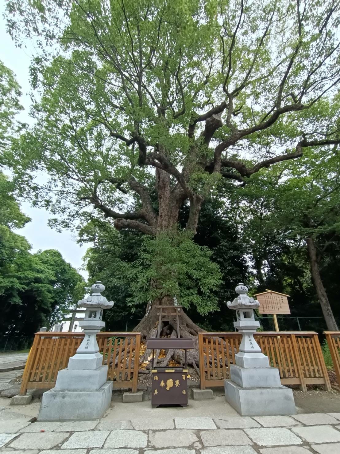 2025大阪|大鳥大社。