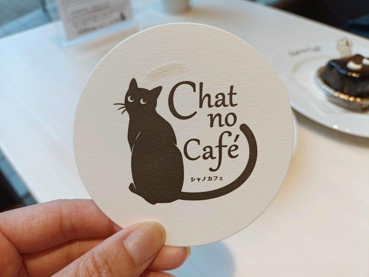 (未設定標題) (未設定標題)