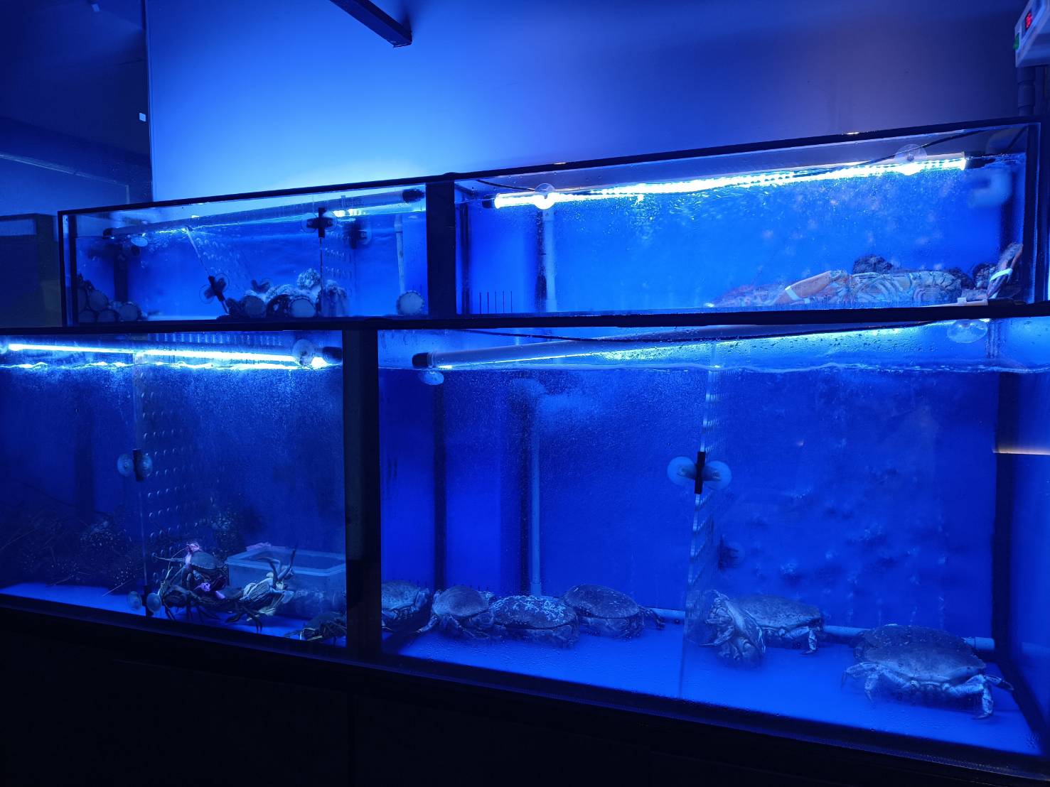 台北忠孝敦化美食|沅湯精緻鍋物大安館。日本和牛、活跳海鮮、手搖茶飲，一店搞定!