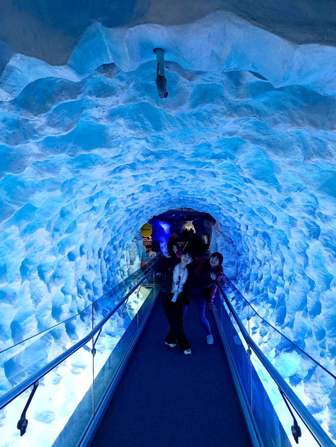 2025紐西蘭|凱莉塔頓水族館 Kelly Tarltion’s Antarctic Encounter Underwater World 可愛呆萌的企鵝、伊甸山 Mount Eden/Maungawhau 最佳觀景平台至高點!