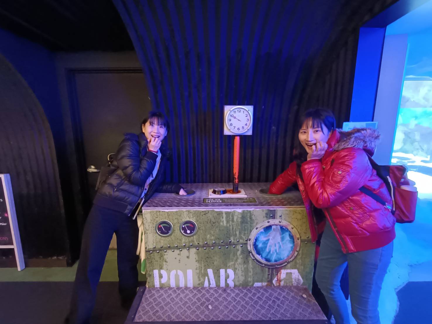 2025紐西蘭|凱莉塔頓水族館 Kelly Tarltion’s Antarctic Encounter Underwater World 可愛呆萌的企鵝、伊甸山 Mount Eden/Maungawhau 最佳觀景平台至高點!