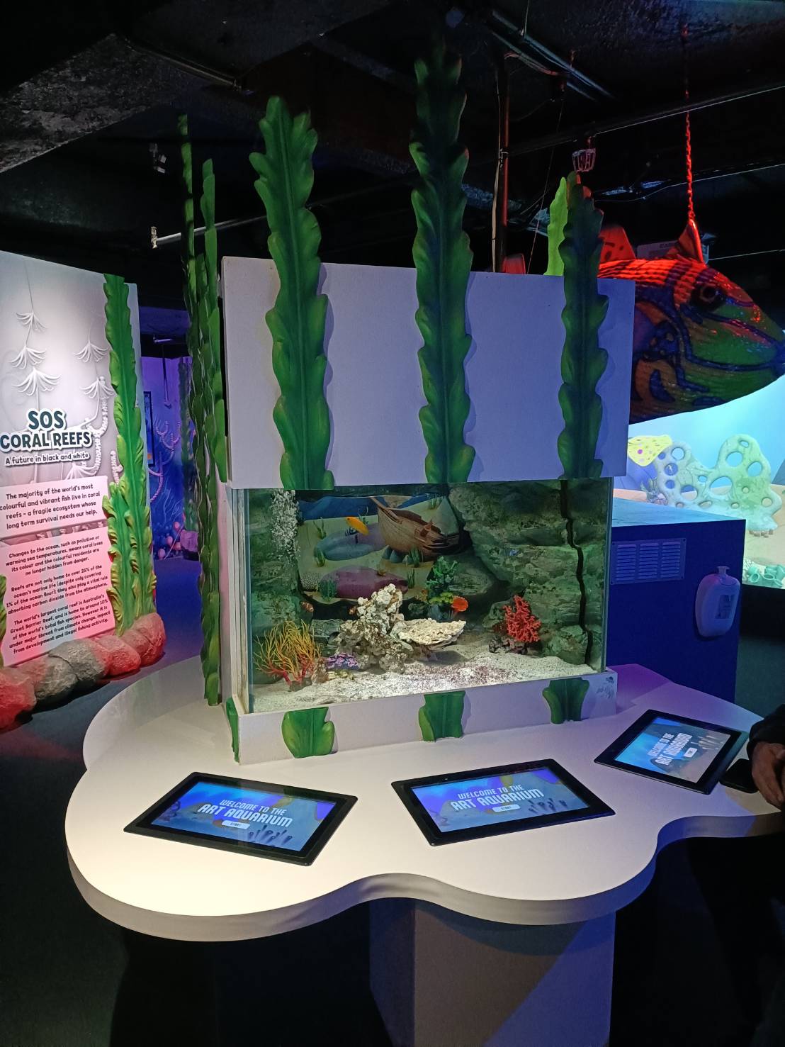 2025紐西蘭|凱莉塔頓水族館 Kelly Tarltion’s Antarctic Encounter Underwater World 可愛呆萌的企鵝、伊甸山 Mount Eden/Maungawhau 最佳觀景平台至高點!