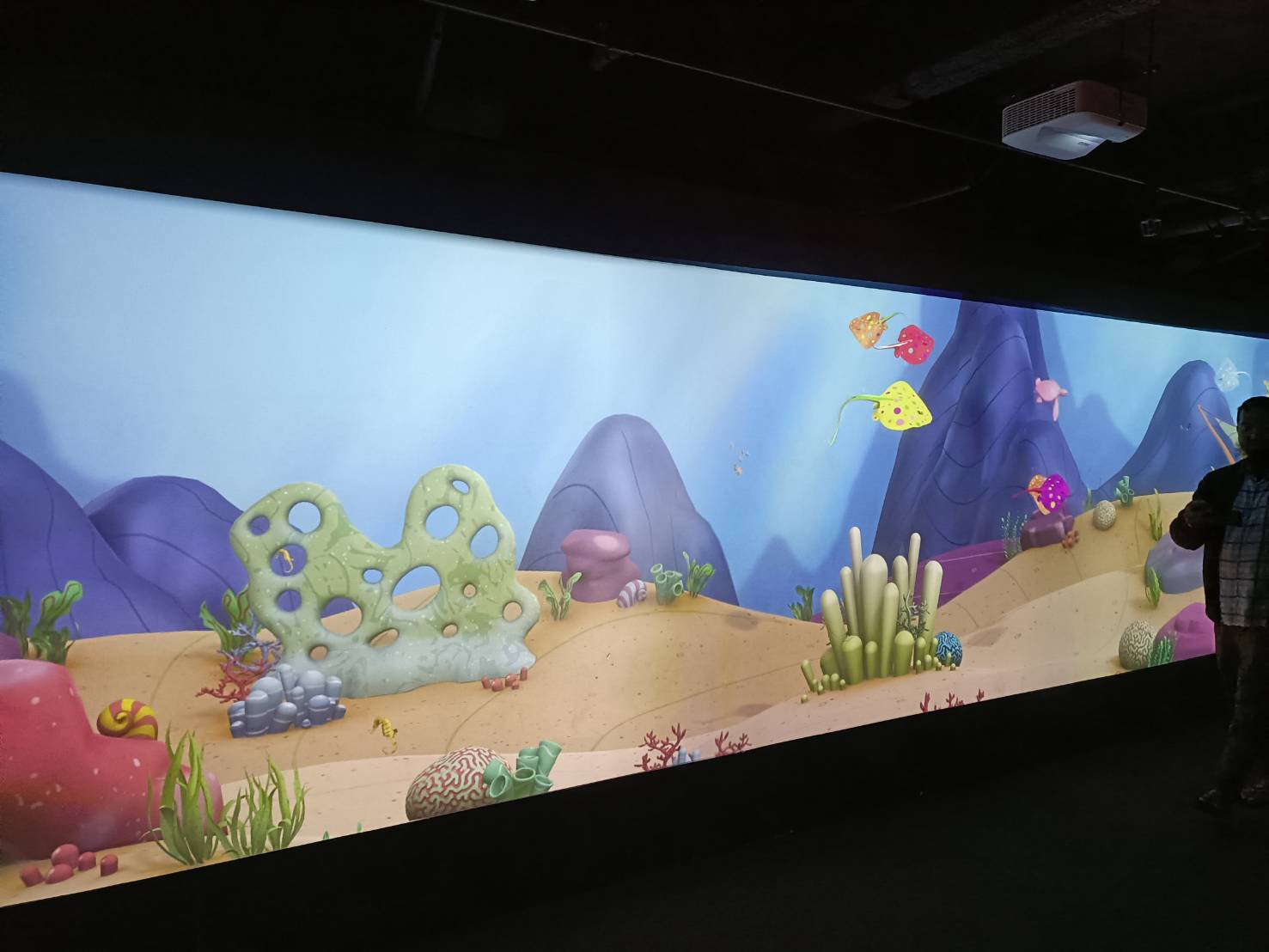 2025紐西蘭|凱莉塔頓水族館 Kelly Tarltion’s Antarctic Encounter Underwater World 可愛呆萌的企鵝、伊甸山 Mount Eden/Maungawhau 最佳觀景平台至高點!