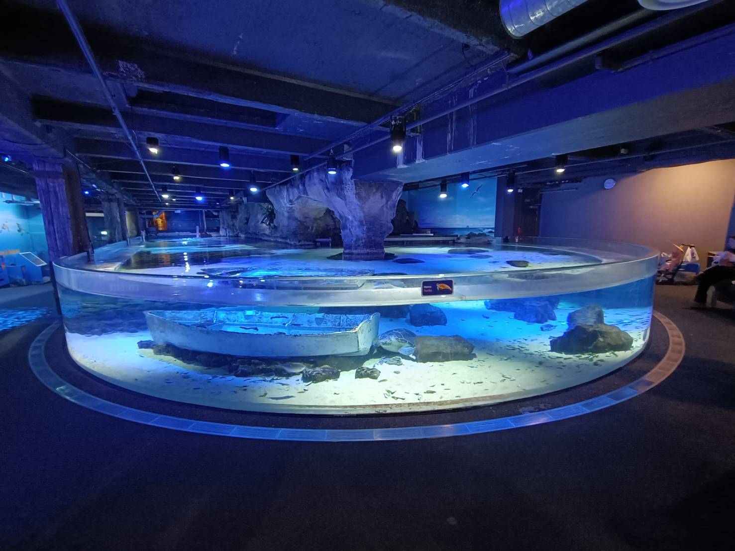 2025紐西蘭|凱莉塔頓水族館 Kelly Tarltion’s Antarctic Encounter Underwater World 可愛呆萌的企鵝、伊甸山 Mount Eden/Maungawhau 最佳觀景平台至高點!