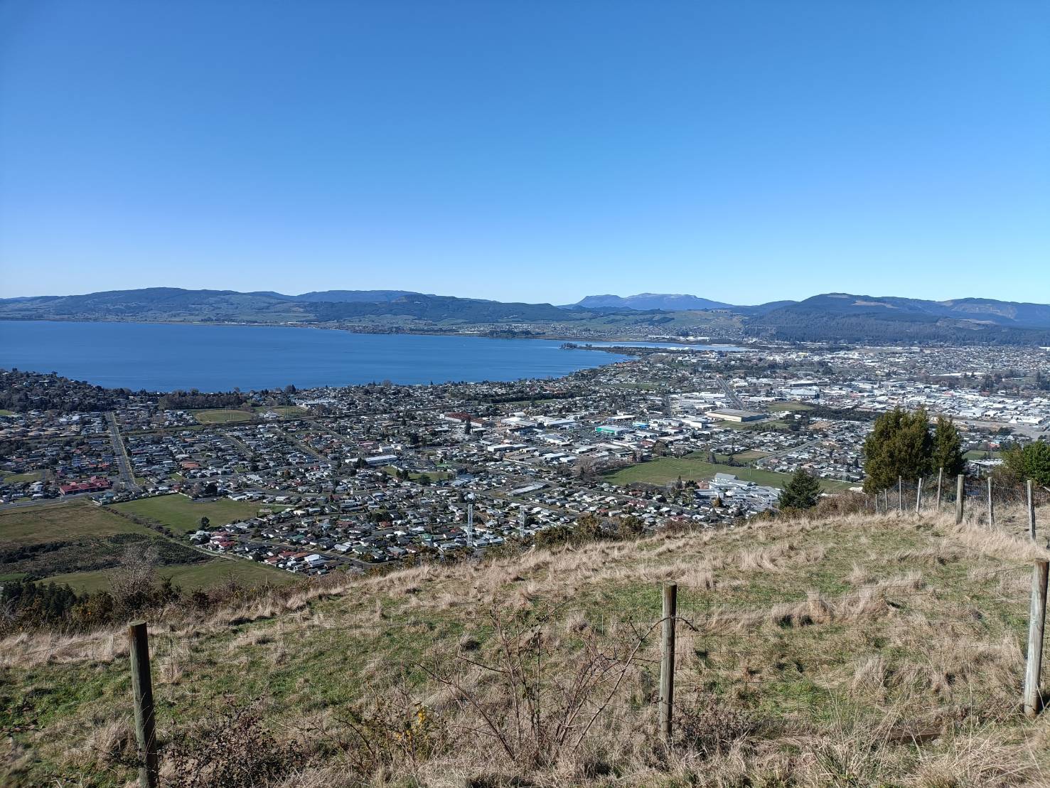 2025紐西蘭| Aorangi Peak Restaurant Rotorua New Zealand 白雲峰山頂餐廳。景色無敵~景觀比餐食更讓人心動!