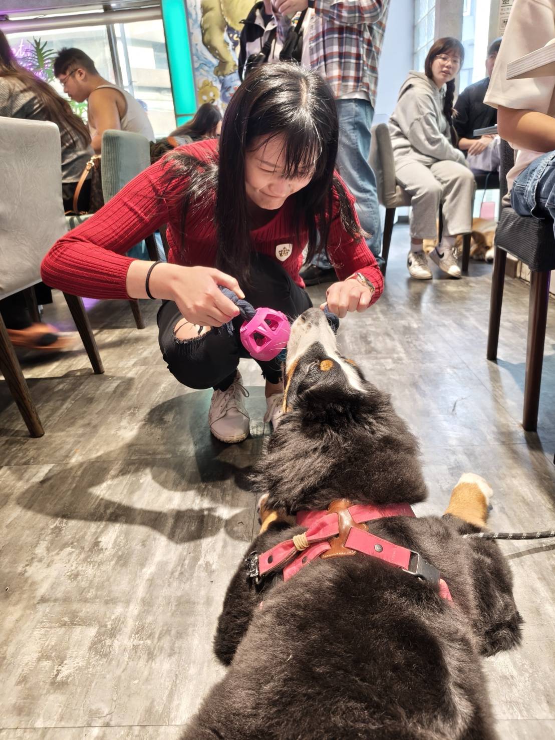 台北西門町美食|BearJunkies熊飲(早午餐＆酒吧)。平價、超大份量的早午餐，擼狗派的你請找店長春桃療癒一下喔!
