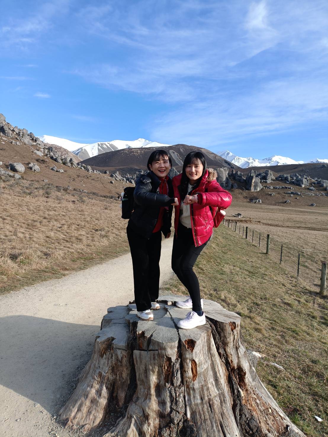 2025紐西蘭|Castle Hill 城堡山 納尼亞電影拍攝場景之一、TranzAlpine train 阿爾卑斯號高山景觀列車