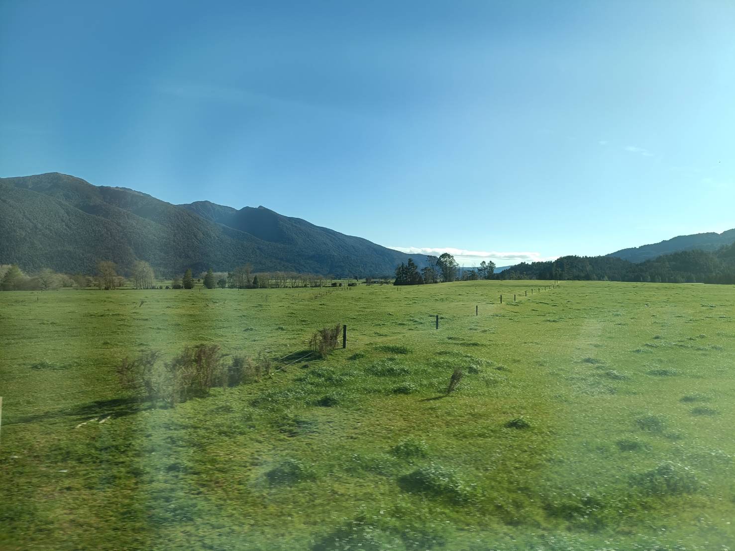 2025紐西蘭|Castle Hill 城堡山 納尼亞電影拍攝場景之一、TranzAlpine train 阿爾卑斯號高山景觀列車