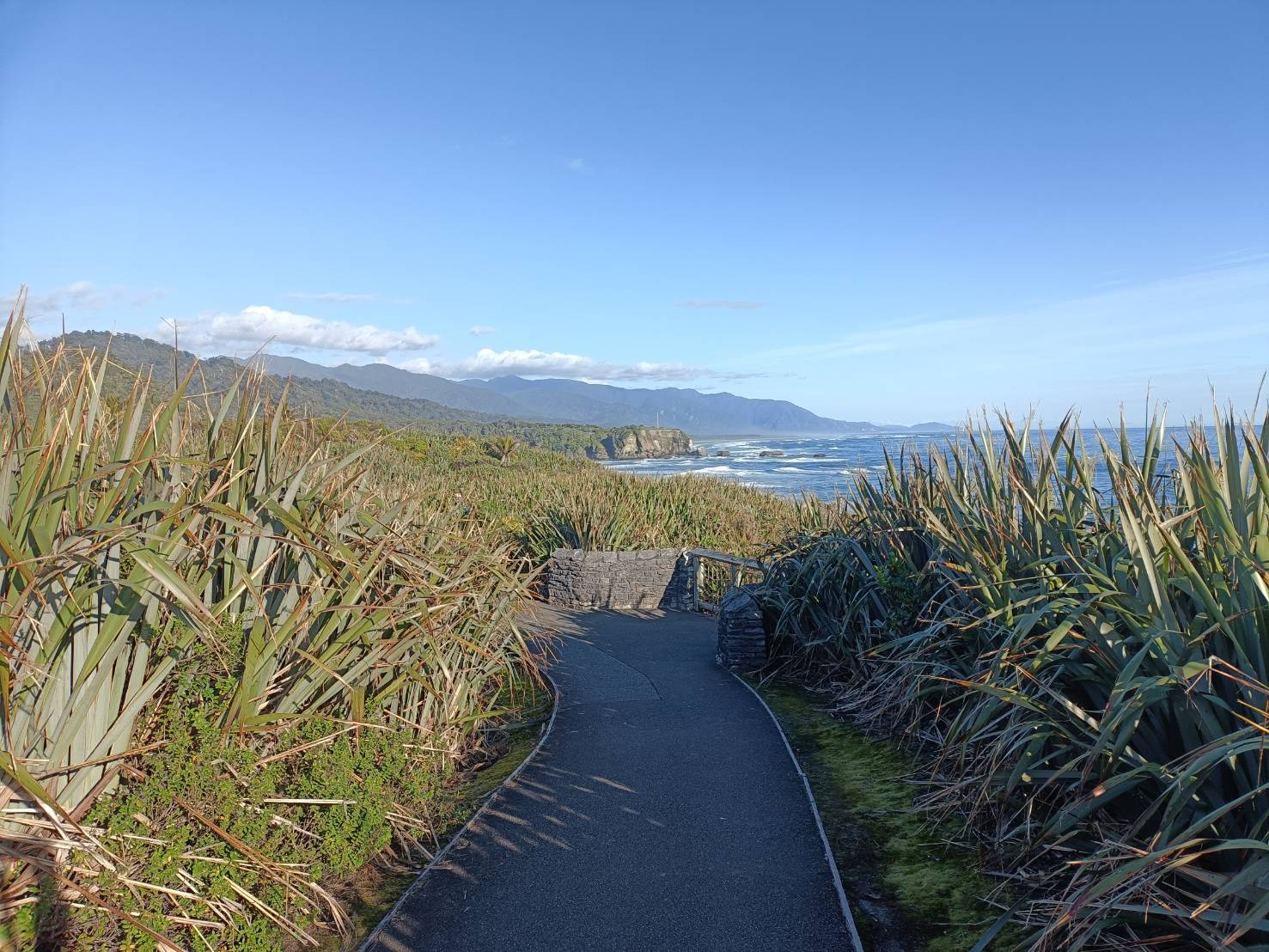 2025紐西蘭|Pancake Rocks and Blowholes Track 普納凱基 千層石岩。再次見識到大自然的鬼斧神工!