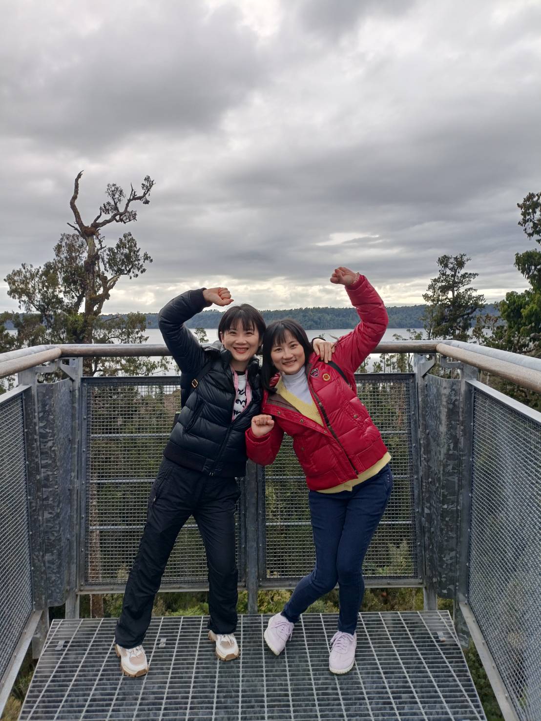 2025紐西蘭|牛奶藍河谷步道 Hokitika Gorge Walk 大自然的調色果然厲害!西海岸樹冠探索空中步道 West Coast Tree Top Walk 讓你走在樹端上!