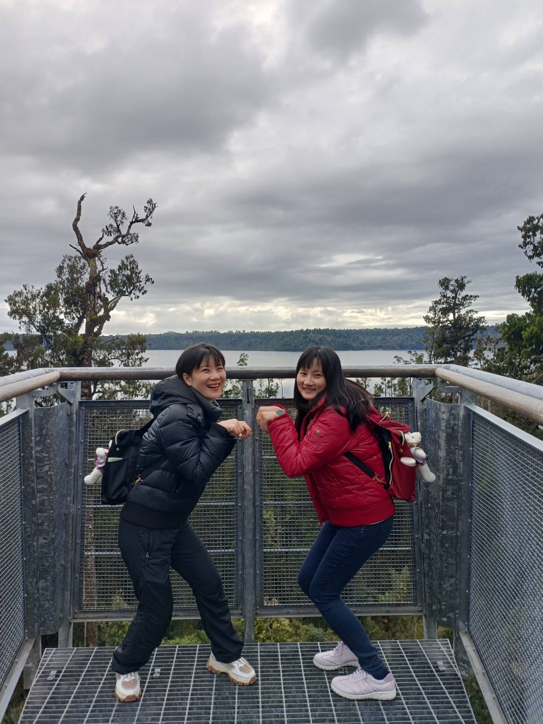2025紐西蘭|牛奶藍河谷步道 Hokitika Gorge Walk 大自然的調色果然厲害!西海岸樹冠探索空中步道 West Coast Tree Top Walk 讓你走在樹端上!
