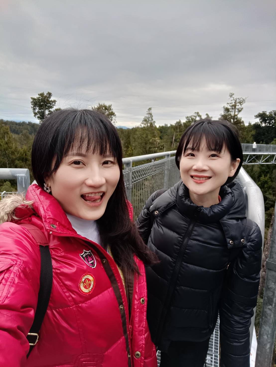 2025紐西蘭|牛奶藍河谷步道 Hokitika Gorge Walk 大自然的調色果然厲害!西海岸樹冠探索空中步道 West Coast Tree Top Walk 讓你走在樹端上!