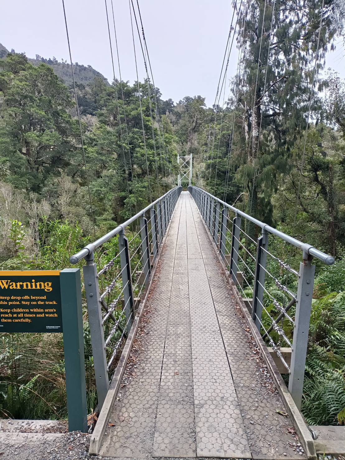2025紐西蘭|牛奶藍河谷步道 Hokitika Gorge Walk 大自然的調色果然厲害!西海岸樹冠探索空中步道 West Coast Tree Top Walk 讓你走在樹端上!