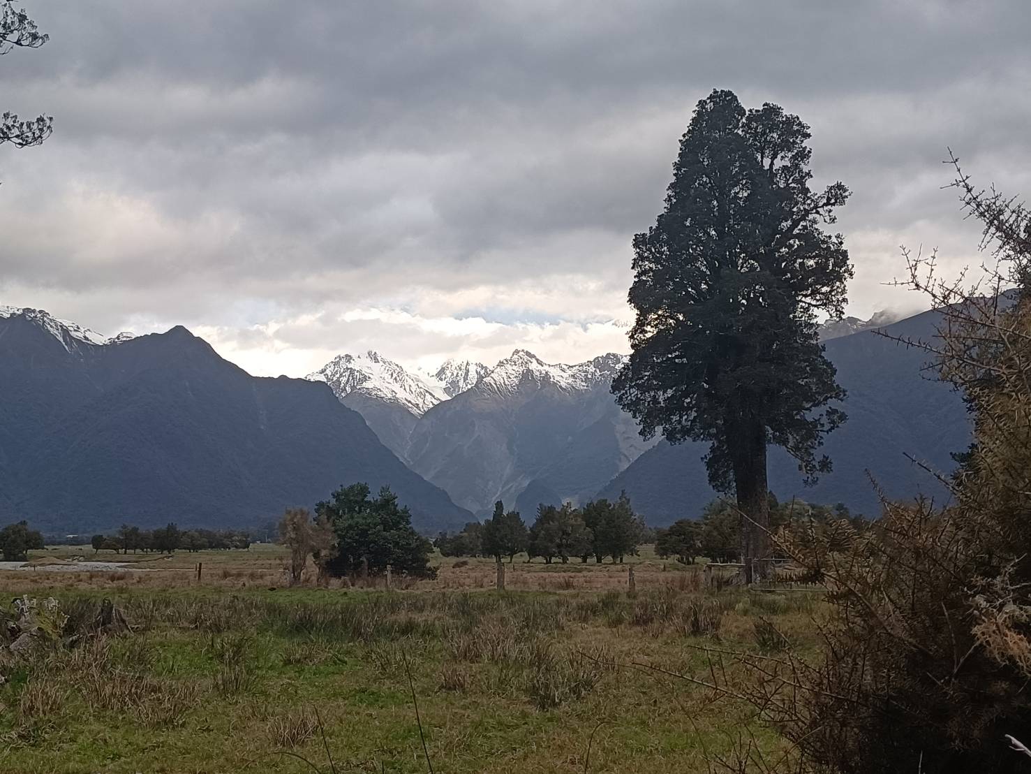 2025紐西蘭|Stumpers Bar & Cafe 霍基蒂卡 Hokitika，午餐享用美式牛排、醬烤豬肋排。下午散步馬松森湖 Lake Matheson