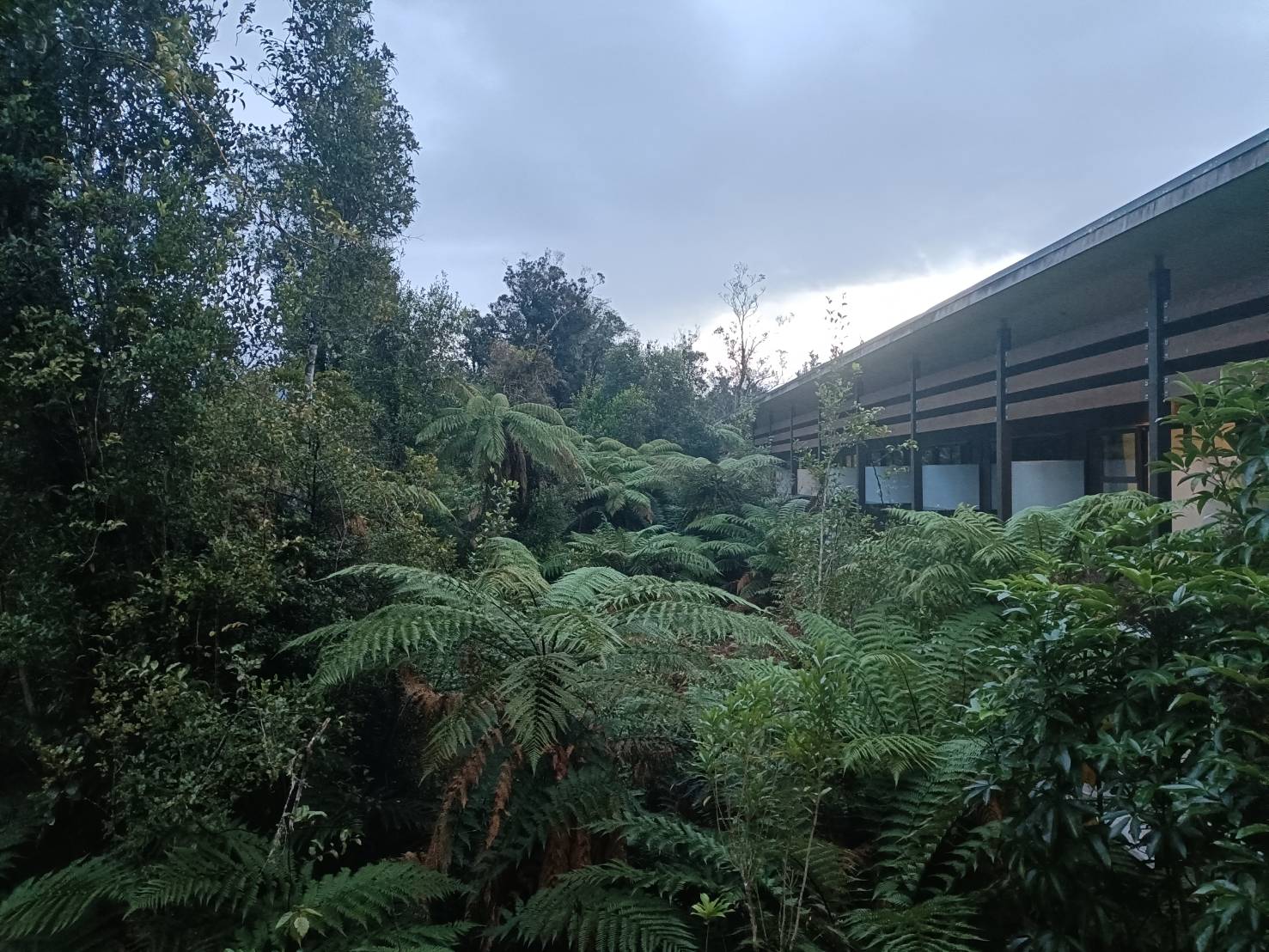 2025紐西蘭|特瓦諾伊森林酒店 Legacy Te Waonui Hotel Franz Josef。一泊二食~西式排餐+自助式早餐