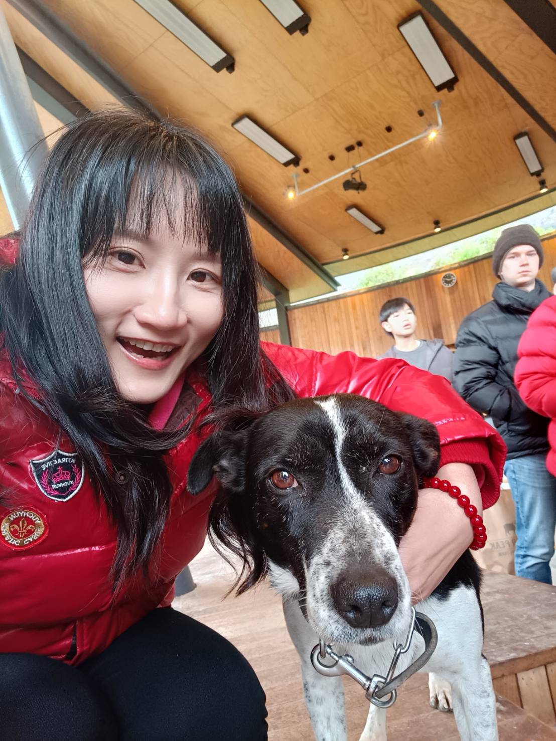 2025紐西蘭|瓦爾特峰高原牧場 Walter Peak High Country Farm。如童話般的景色~牧羊犬趕羊和剪羊毛秀! - 第10張圖 2025紐西蘭|瓦爾特峰高原牧場 Walter Peak High Country Farm。如童話般的景色~牧羊犬趕羊和剪羊毛秀!