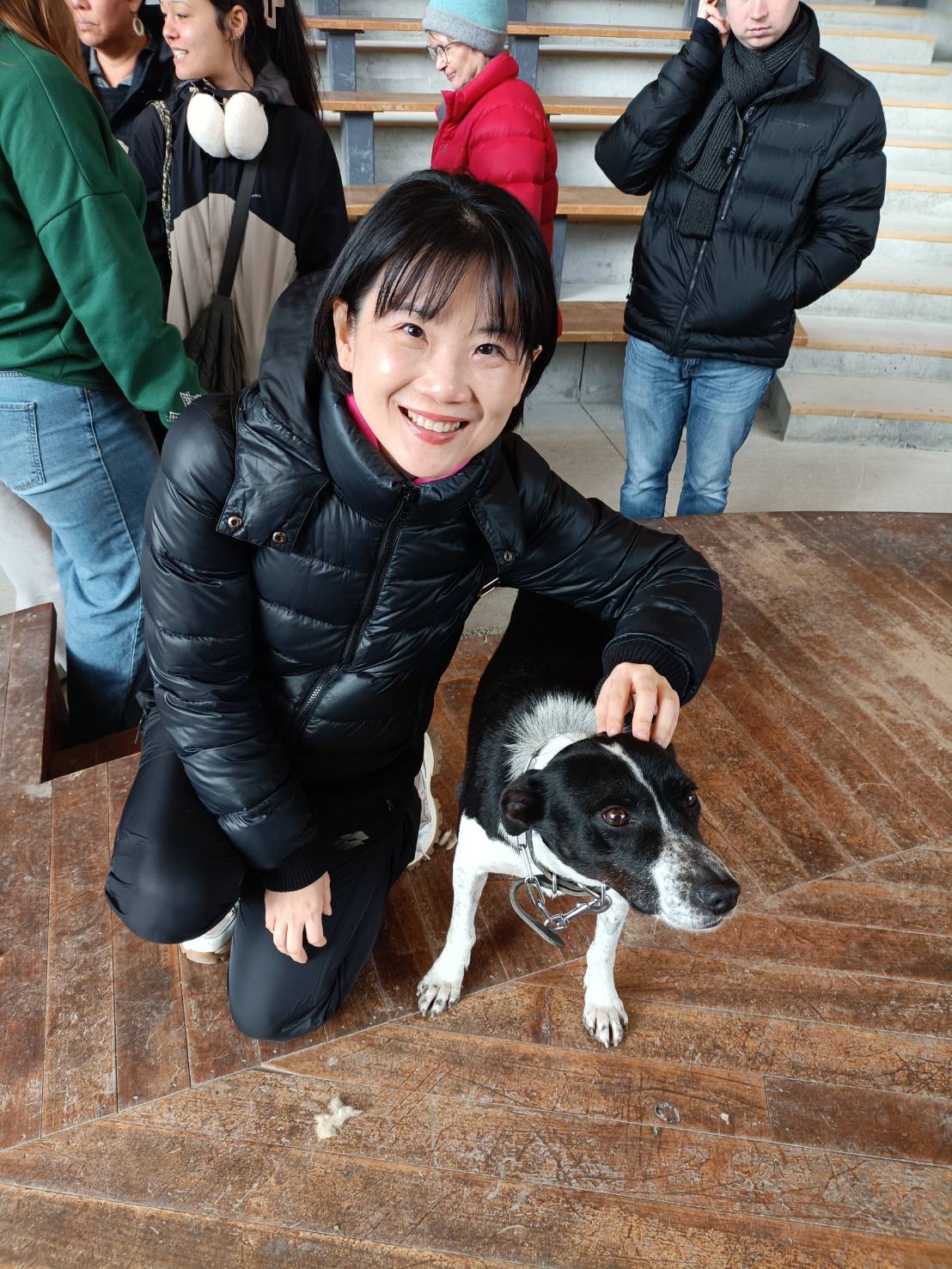 2025紐西蘭|瓦爾特峰高原牧場 Walter Peak High Country Farm。如童話般的景色~牧羊犬趕羊和剪羊毛秀! - 第11張圖 2025紐西蘭|瓦爾特峰高原牧場 Walter Peak High Country Farm。如童話般的景色~牧羊犬趕羊和剪羊毛秀!