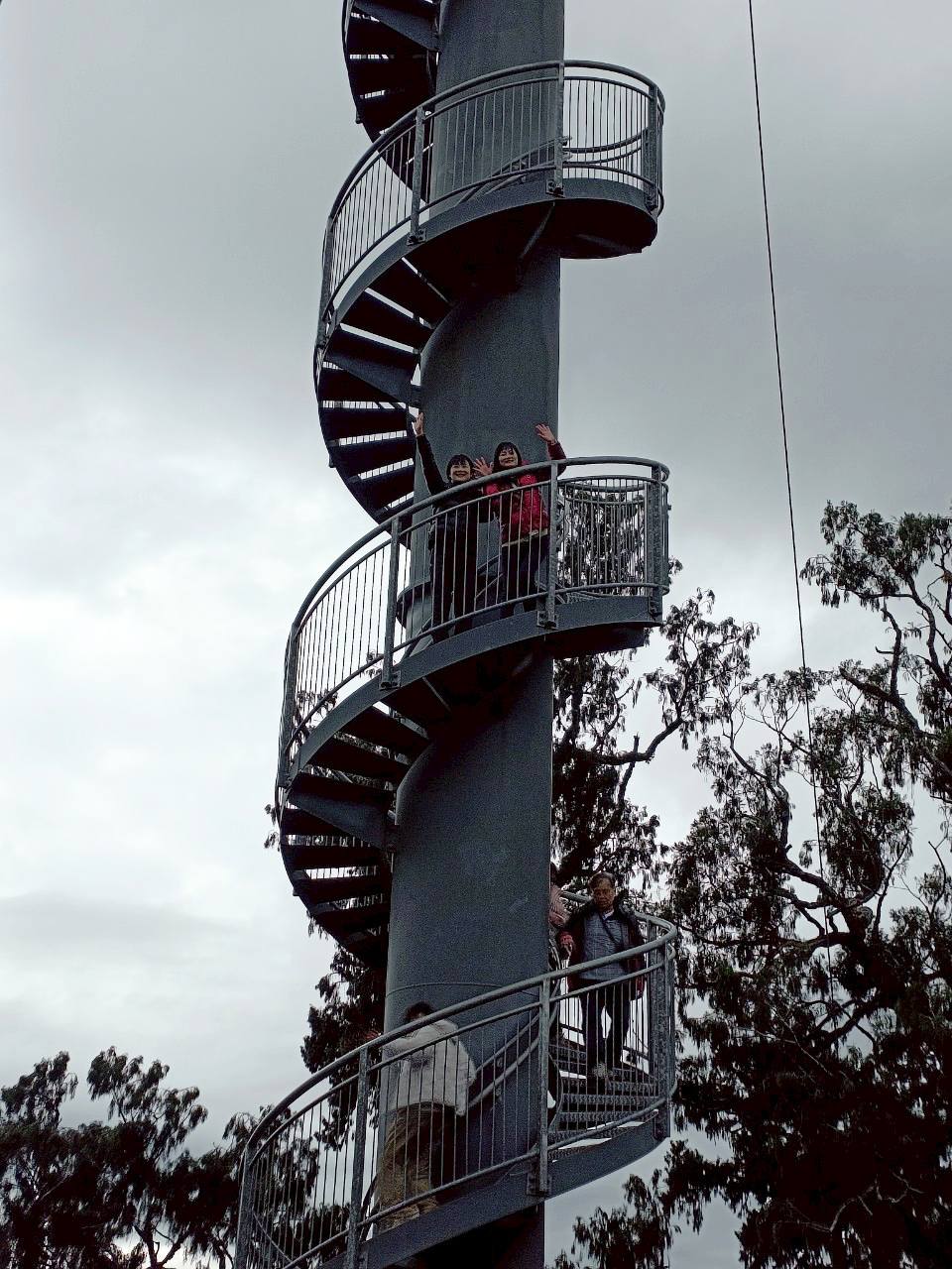 2025紐西蘭|牛奶藍河谷步道 Hokitika Gorge Walk 大自然的調色果然厲害!西海岸樹冠探索空中步道 West Coast Tree Top Walk 讓你走在樹端上!