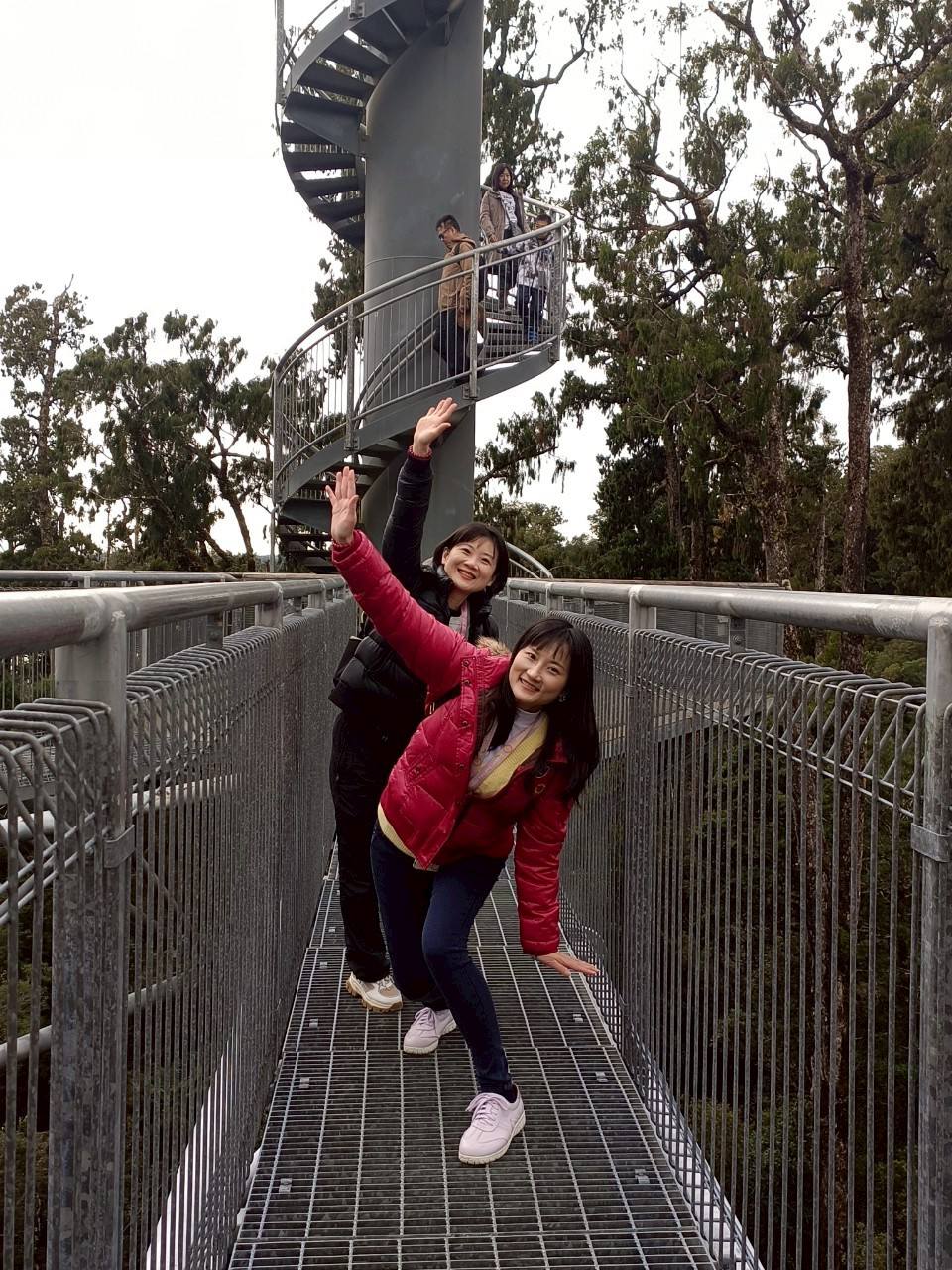 2025紐西蘭|牛奶藍河谷步道 Hokitika Gorge Walk 大自然的調色果然厲害!西海岸樹冠探索空中步道 West Coast Tree Top Walk 讓你走在樹端上!