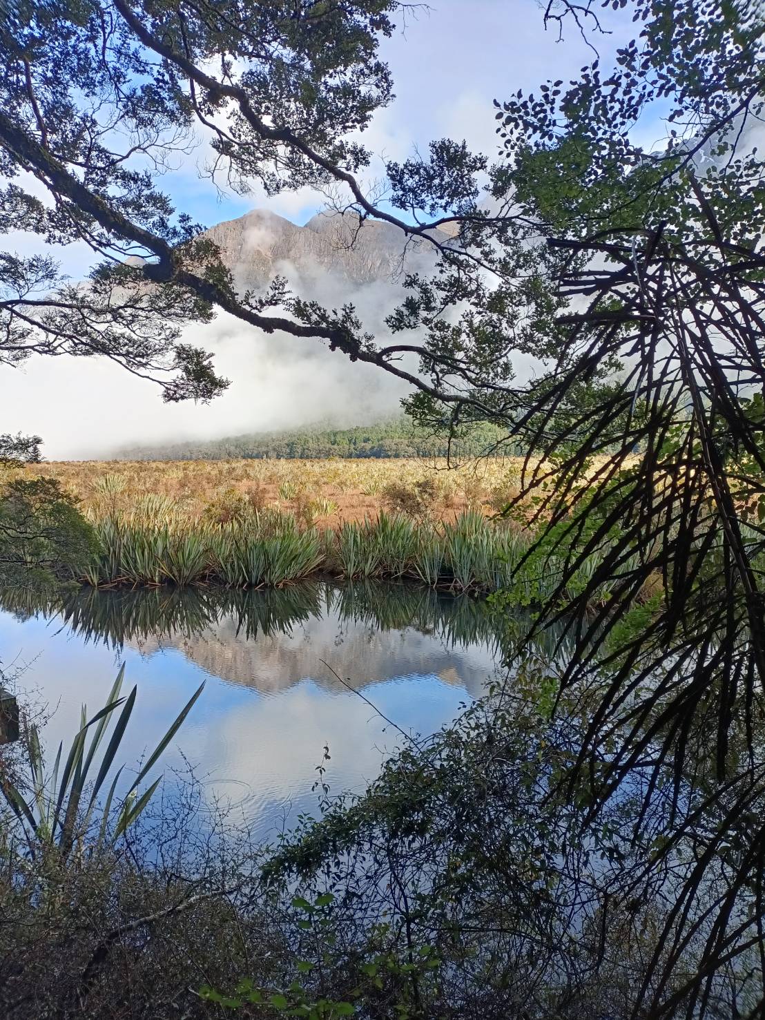 2025紐西蘭|埃格林頓山谷 Eglinton Valley~景色遼闊的平原、鏡湖 Mirror Lakes~湖面如鏡、猴溪 Monkey Creek~天然清甜極純淨的冰川水必飲! - 第10張圖 2025紐西蘭|埃格林頓山谷 Eglinton Valley~景色遼闊的平原、鏡湖 Mirror Lakes~湖面如鏡、猴溪 Monkey Creek~天然清甜極純淨的冰川水必飲!