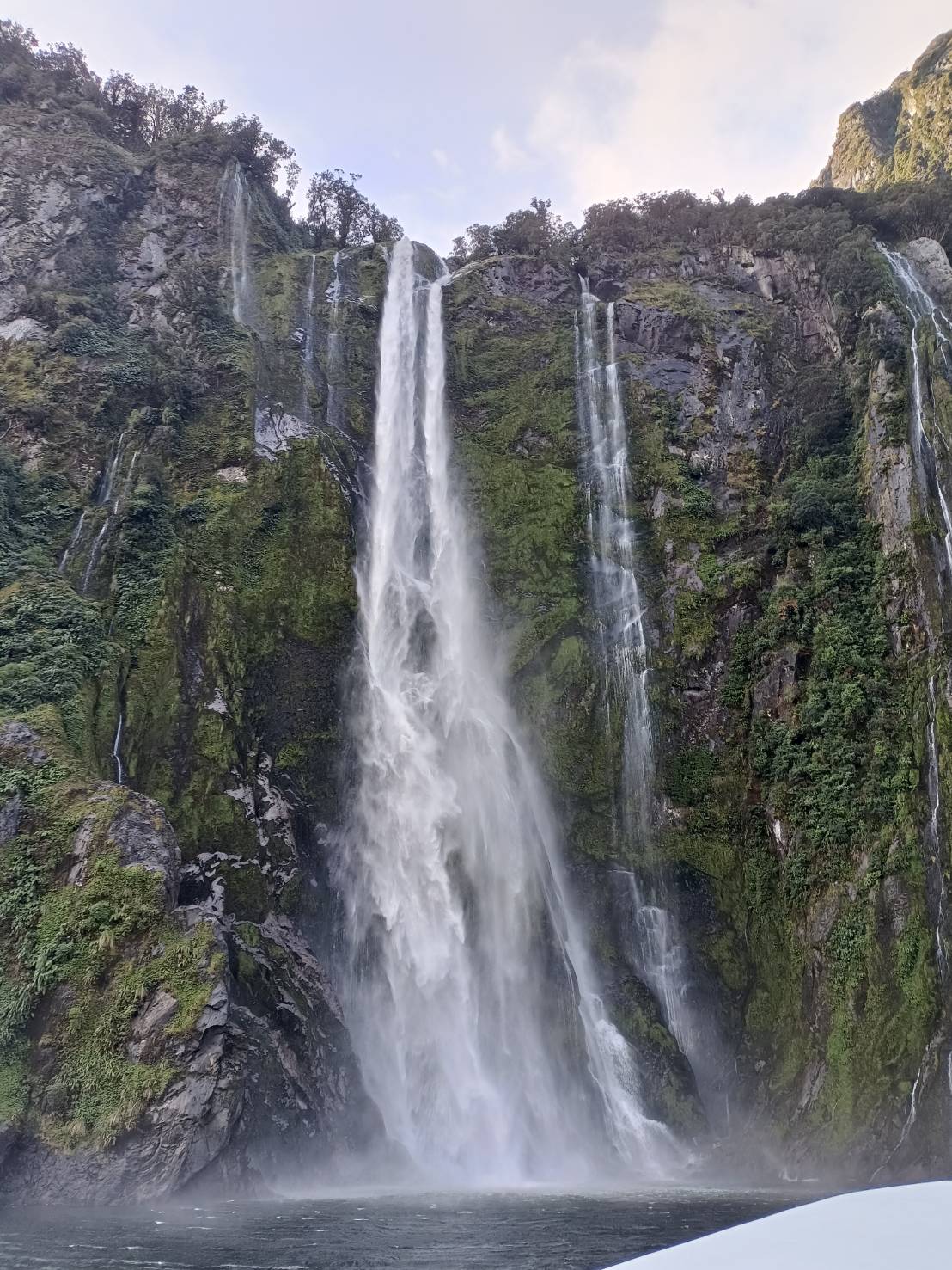 2025紐西蘭|米佛峽灣 Milford Sound/Piopiotahi~遊船海上巡航~美到無遠弗屆! - 第15張圖 2025紐西蘭|米佛峽灣 Milford Sound/Piopiotahi~遊船海上巡航~美到無遠弗屆!