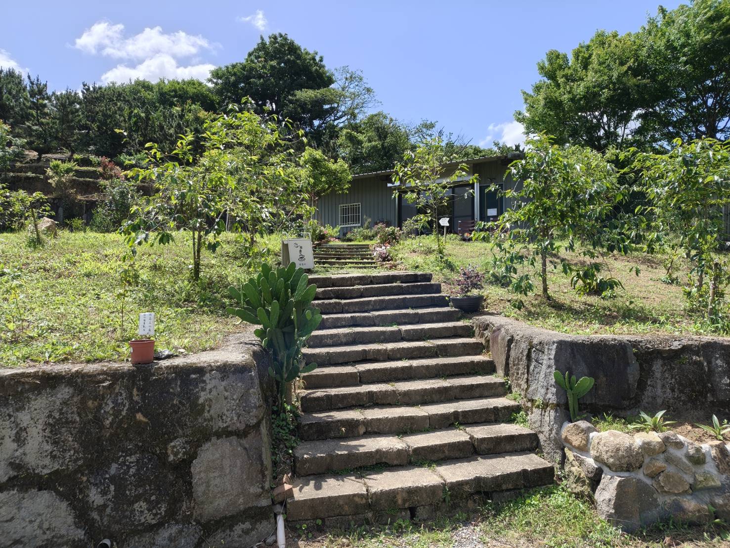 陽明山咖啡廳|來典咖啡。咖啡、金萱烏龍茶、水果茶、焦香千層蛋糕、濃情巧克力都很推薦喔!拋開都市的吵鬧到陽明山上的來典咖啡坐坐吧!內含菜單 - 第4張圖 陽明山咖啡廳|來典咖啡。咖啡、金萱烏龍茶、水果茶、焦香千層蛋糕、濃情巧克力都很推薦喔!拋開都市的吵鬧到陽明山上的來典咖啡坐坐吧!內含菜單